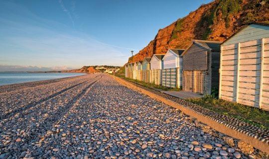 The Lawns B & B Budleigh Salterton Exteriér fotografie